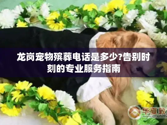 龙岗宠物殡葬电话是多少?告别时刻的专业服务指南