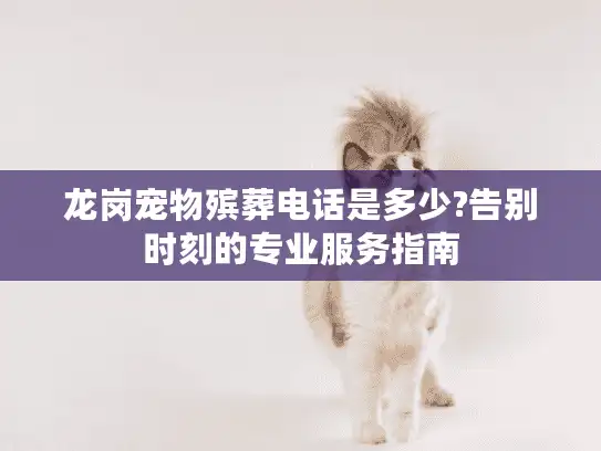 龙岗宠物殡葬电话是多少?告别时刻的专业服务指南