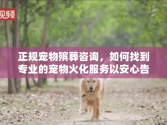 正规宠物殡葬咨询，如何找到专业的宠物火化服务以安心告别？
