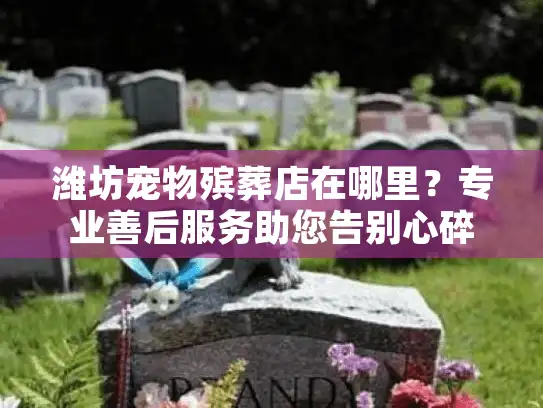 潍坊宠物殡葬店在哪里？专业善后服务助您告别心碎时刻