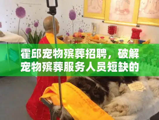 霍邱宠物殡葬招聘，破解宠物殡葬服务人员短缺的有效方案