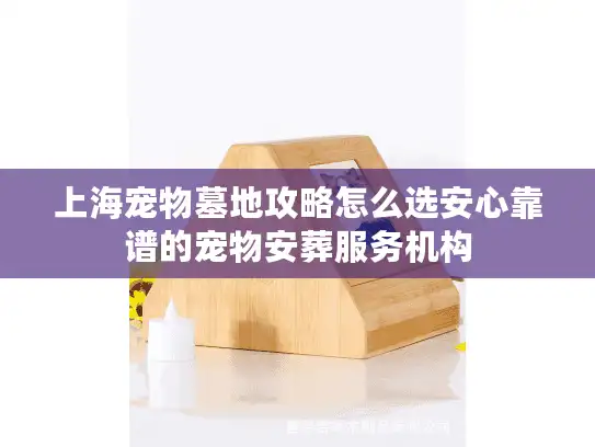 上海宠物墓地攻略怎么选安心靠谱的宠物安葬服务机构