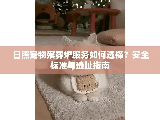 日照宠物殡葬炉服务如何选择？安全标准与选址指南