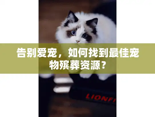 告别爱宠，如何找到最佳宠物殡葬资源？