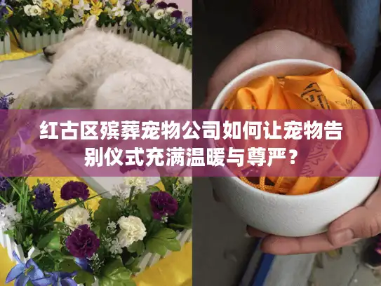 红古区殡葬宠物公司如何让宠物告别仪式充满温暖与尊严？