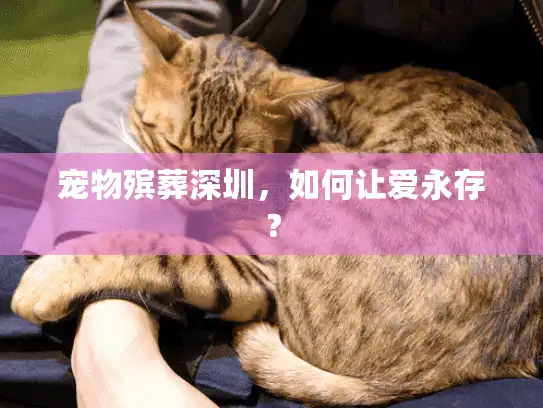 宠物殡葬深圳，如何让爱永存？