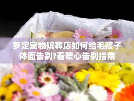 罗定宠物殡葬店如何给毛孩子体面告别?看暖心告别指南