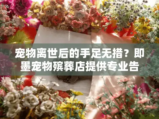 宠物离世后的手足无措？即墨宠物殡葬店提供专业告别解决方案