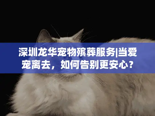 深圳龙华宠物殡葬服务|当爱宠离去，如何告别更安心？