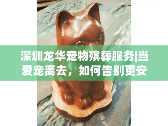 深圳龙华宠物殡葬服务|当爱宠离去，如何告别更安心？