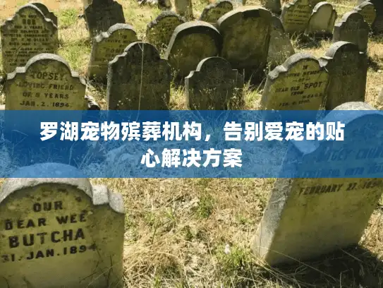 罗湖宠物殡葬机构，告别爱宠的贴心解决方案