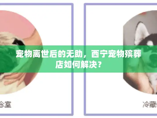 宠物离世后的无助，西宁宠物殡葬店如何解决？