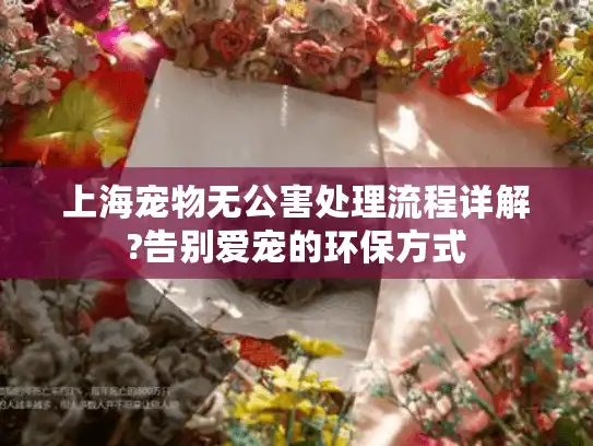上海宠物无公害处理流程详解?告别爱宠的环保方式