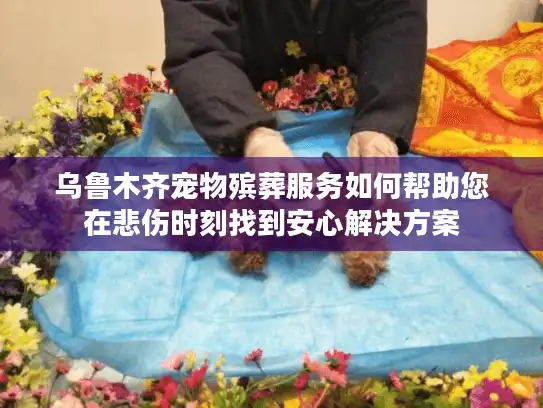 乌鲁木齐宠物殡葬服务如何帮助您在悲伤时刻找到安心解决方案