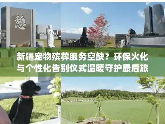 新疆宠物殡葬服务空缺？环保火化与个性化告别仪式温暖守护最后旅程