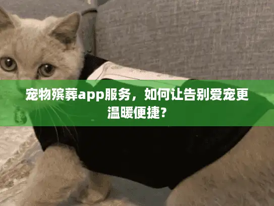 宠物殡葬app服务，如何让告别爱宠更温暖便捷？