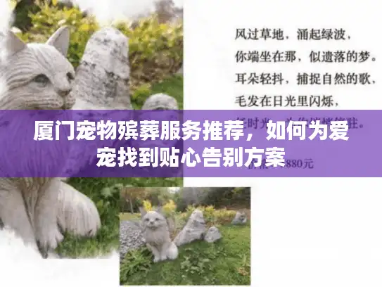 厦门宠物殡葬服务推荐，如何为爱宠找到贴心告别方案
