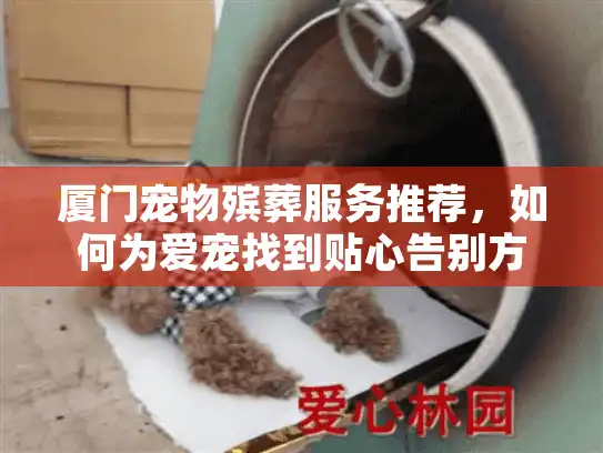 厦门宠物殡葬服务推荐，如何为爱宠找到贴心告别方案