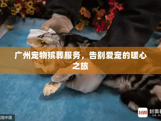 广州宠物殡葬服务，告别爱宠的暖心之旅