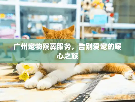 广州宠物殡葬服务，告别爱宠的暖心之旅