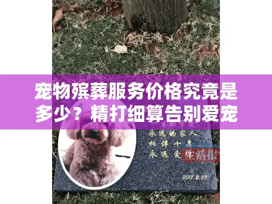 宠物殡葬服务价格究竟是多少？精打细算告别爱宠的终极指南