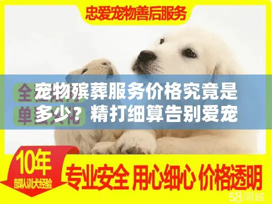 宠物殡葬服务价格究竟是多少？精打细算告别爱宠的终极指南