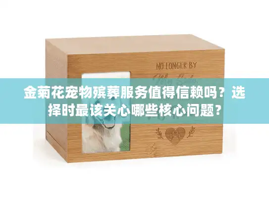 金菊花宠物殡葬服务值得信赖吗？选择时最该关心哪些核心问题？