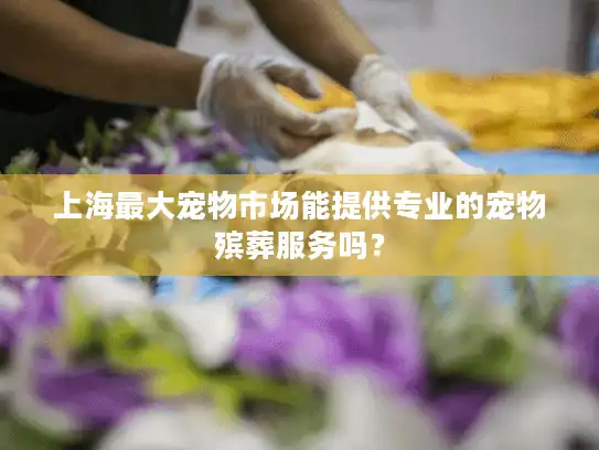 上海最大宠物市场能提供专业的宠物殡葬服务吗？