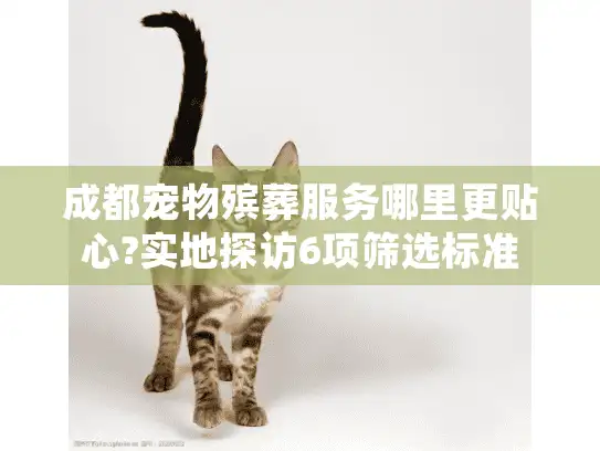 成都宠物殡葬服务哪里更贴心?实地探访6项筛选标准