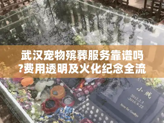 武汉宠物殡葬服务靠谱吗?费用透明及火化纪念全流程解析