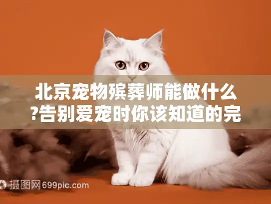 北京宠物殡葬师能做什么?告别爱宠时你该知道的完整服务清单