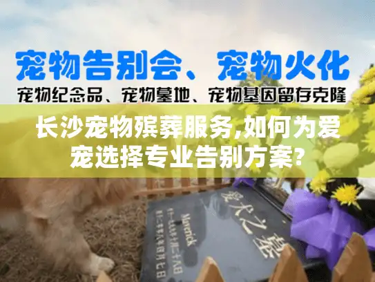 长沙宠物殡葬服务,如何为爱宠选择专业告别方案?