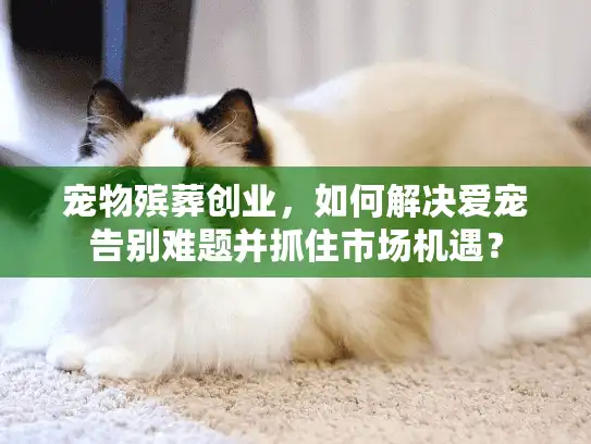 宠物殡葬创业，如何解决爱宠告别难题并抓住市场机遇？