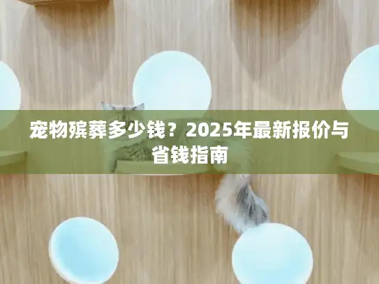 宠物殡葬多少钱？2025年最新报价与省钱指南