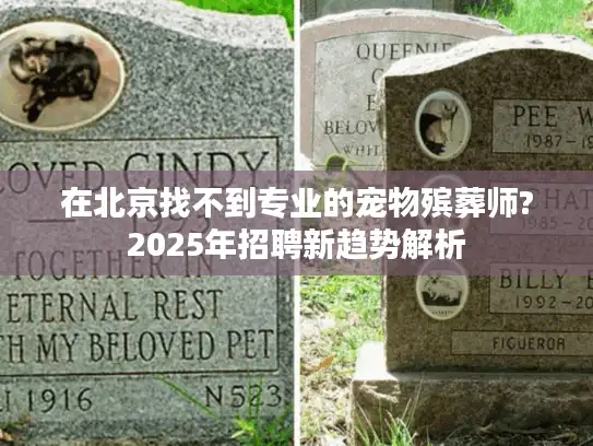 在北京找不到专业的宠物殡葬师?2025年招聘新趋势解析
