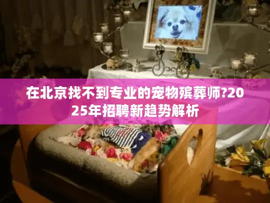 在北京找不到专业的宠物殡葬师?2025年招聘新趋势解析