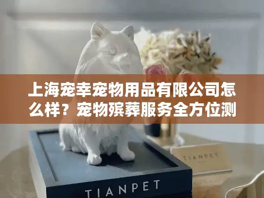上海宠幸宠物用品有限公司怎么样？宠物殡葬服务全方位测评指南