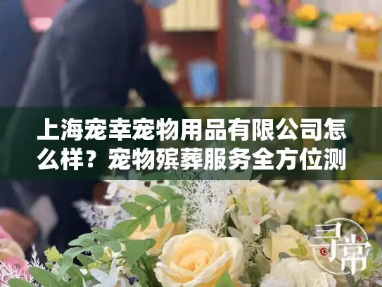 上海宠幸宠物用品有限公司怎么样？宠物殡葬服务全方位测评指南