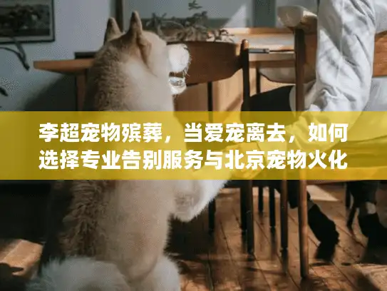 李超宠物殡葬，当爱宠离去，如何选择专业告别服务与北京宠物火化方案
