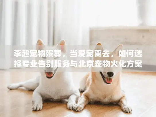 李超宠物殡葬，当爱宠离去，如何选择专业告别服务与北京宠物火化方案