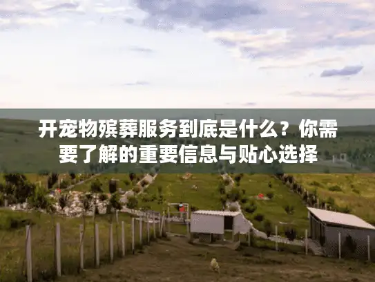 开宠物殡葬服务到底是什么？你需要了解的重要信息与贴心选择