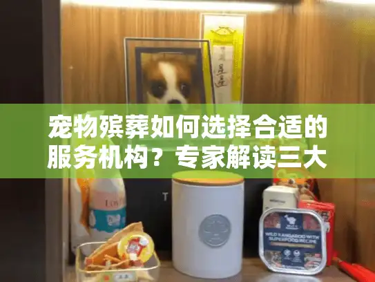 宠物殡葬如何选择合适的服务机构？专家解读三大核心考量