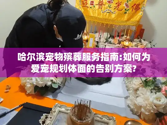 哈尔滨宠物殡葬服务指南:如何为爱宠规划体面的告别方案?