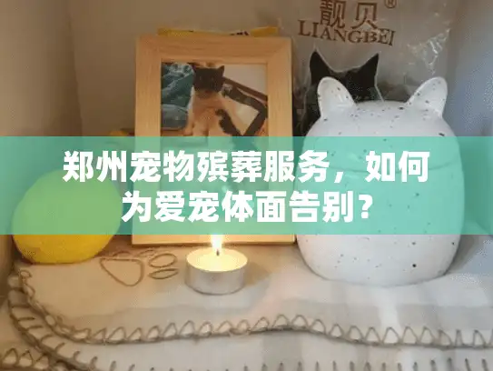 郑州宠物殡葬服务，如何为爱宠体面告别？