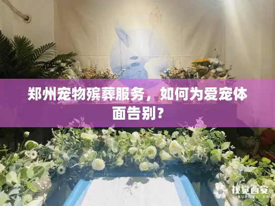 郑州宠物殡葬服务，如何为爱宠体面告别？