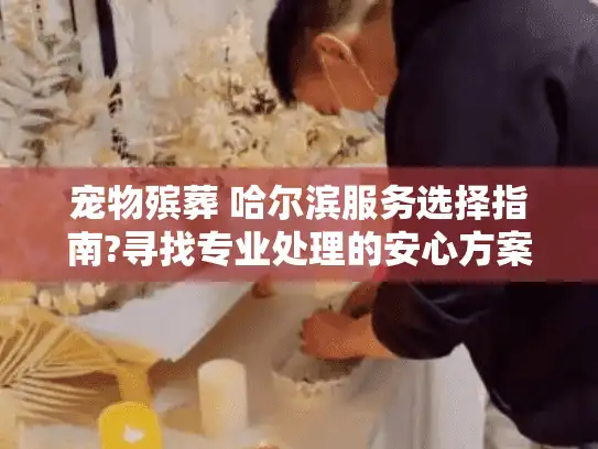 宠物殡葬 哈尔滨服务选择指南?寻找专业处理的安心方案