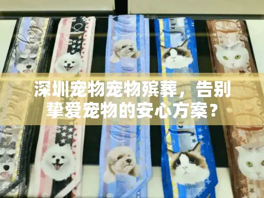 深圳宠物宠物殡葬，告别挚爱宠物的安心方案？
