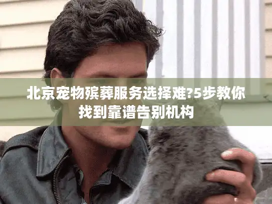 北京宠物殡葬服务选择难?5步教你找到靠谱告别机构