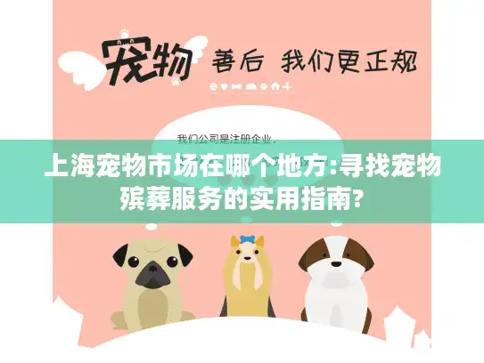 上海宠物市场在哪个地方:寻找宠物殡葬服务的实用指南?