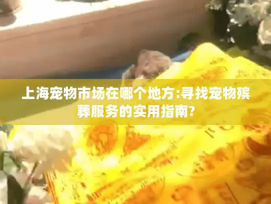 上海宠物市场在哪个地方:寻找宠物殡葬服务的实用指南?
